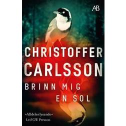 Brinn mig en sol (Häftad)