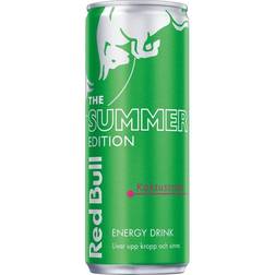 Red Bull Green Edition Cactus Fruits 250ml