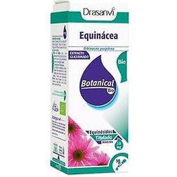 Drasanvi Echinacea Glycerinat Botanical Bio 50ml