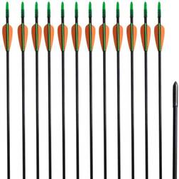 vidaXL standard recurve buepile 30" 0,6 cm glasfiber 12 stk