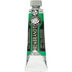 Rembrandt Oil Colour Tube 40 ml Emerald Green 615