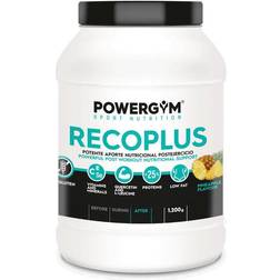 Powergym Recoplus Ananas 1200g