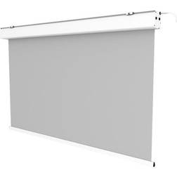 Celexon Ecran de projection motorisé Expert 200 x 200 cm