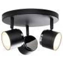 Nielsen Light Teater Spotlight