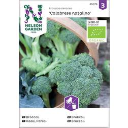 Nelson Garden Broccoli Calabrese natalino