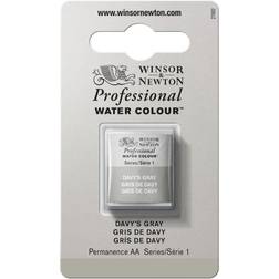 Winsor & Newton Professional Water Colour Davy's Gray Half Pan