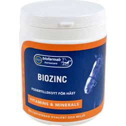 Eclipse Biofarmab BioZinc 400 g