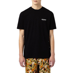 Dickies Artondale Box T-shirt - Black