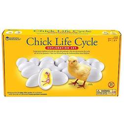 Learning Resources Chick Life Cycle Exploration Set