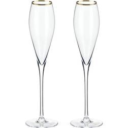 Viski Belmont Rimmed Champagne Glass 2