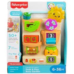 Fisher Price Laugh & Learn Peek & Play Busy Garden