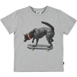 Molo Rame - Black Dog Skate (1S22A229 7699)