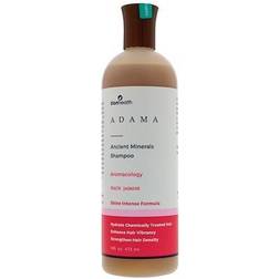 Zion Health Peach Jasmine Shampoo