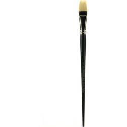 Winsor & Newton Winton Hog Brushes 12 short flat bright