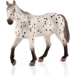 Legler Appaloosa Hingst