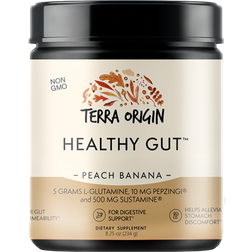 Terra Origin Healthy Gut Peach Banana 234g