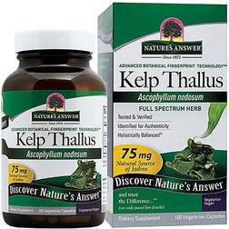 Nature's Answer Kelp Thallus 100 Capsules 100 st