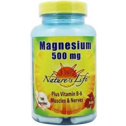 Nature's Life Magnesium 500 mg 100 Capsules