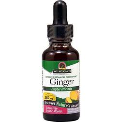 Nature's Answer Ginger 250 mg 1 fl oz