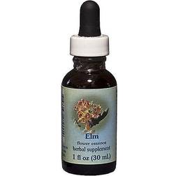 Elm Herbal Supplement Dropper By Flower Essence 1 Oz