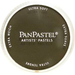 PanPastel Soft Pastel Pans 780.3 Raw Umber Shade