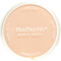 PanPastel Soft Pastel Pans 740.8 Burnt Sienna Tint