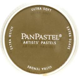 PanPastel Soft Pastel Pans 780.5 Raw Umber