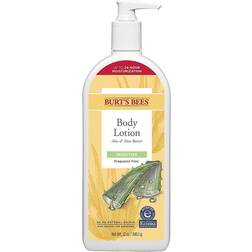 Burt's Bees 12 Oz. Aloe & Shea Butter Body Lotion