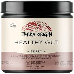 Terra Origin Healthy Gut Berry 30 Servings