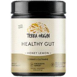 Terra Origin Healthy Gut Honey Lemon 8.16 oz