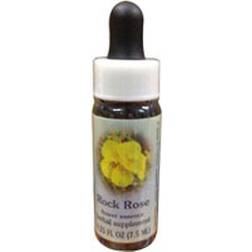 Flower Essence Healing Herb Rock Rose 1oz