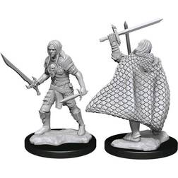 WizKids Elf Pathfinder Battles Deepcuts Unpainted Miniatures (W13) Fighter Mal