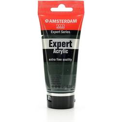 Amsterdam Expert Series Acrylic Tube 75 ml Olive Green 620