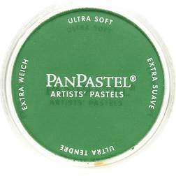 PanPastel Soft Pastel Pans 640.3 Permanent Green Shade