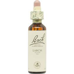 Bach Larch 20ml