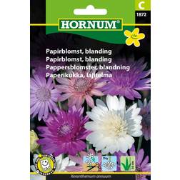 Hornum Papirblomst Blanding