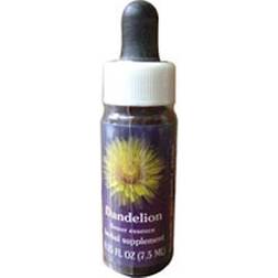 Flower Essence Dandelion Dropper 1 fl oz