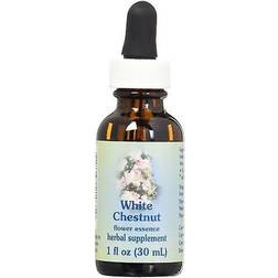 White Chenstnut Herbal Supplement Dropper By Flower Essence 1 Oz