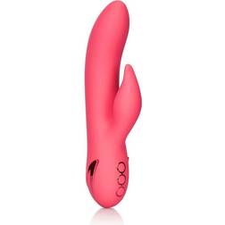 CalExotics California Dreaming San Francisco Sweetheart