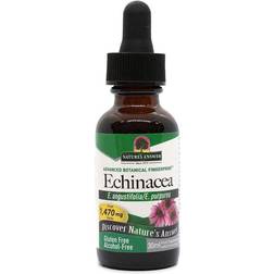 Nature's Answer Echinacea 1 fl oz