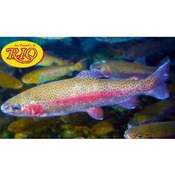 RIO Powerflex Trout Tapered Leader