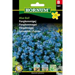 Hornum Forglemmigej Blue Ball