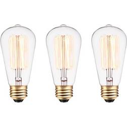 Vintage Edison Incandescent Lamps 60W E26 3-Pack