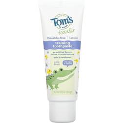 Tom's of Maine Oral Care Fluoride-Free Toddler Training Toothpaste Mild Fruit 49.6g