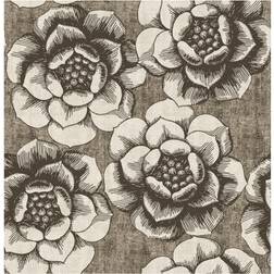Brewster Fanciful (2763-24239)