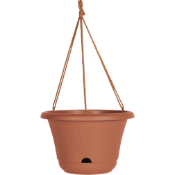 Bloem Lucca Hanging Basket Ø 13" 33.02cm