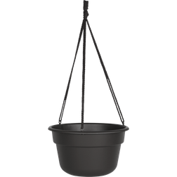 Bloem Dura Cotta Hanging Basket Ø 12"