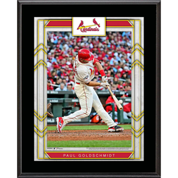 Fanatics St. Louis Cardinals Sublimated Player Name Plaque. Paul Goldschmidt