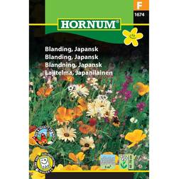 Hornum Blanding Sommerfugl