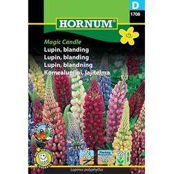 Hornum Lupin Blanding Magic Candle